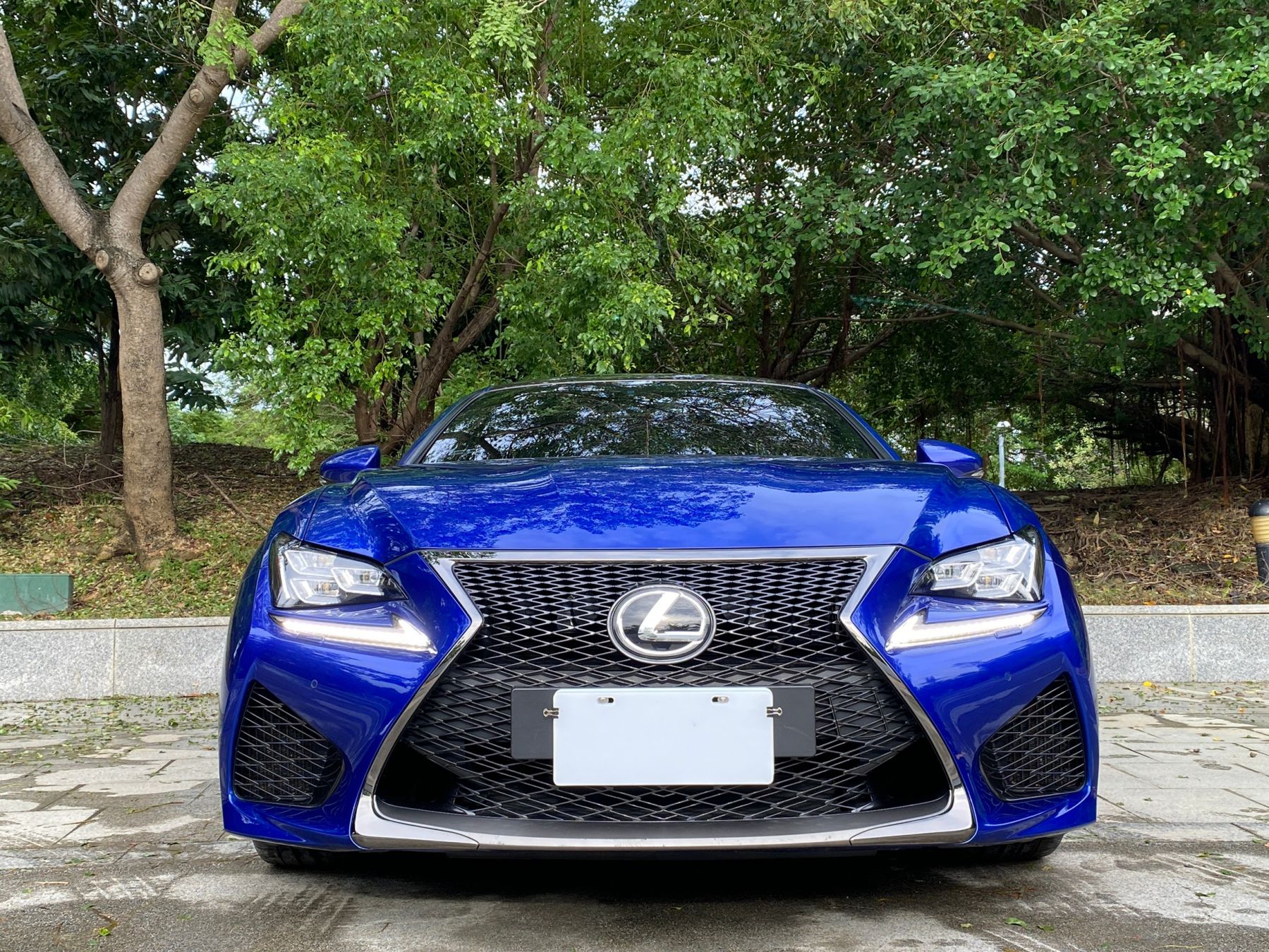 81中古車 凌志rc F 5 0l 鋐基汽車 Lexus Rc F 總代理15