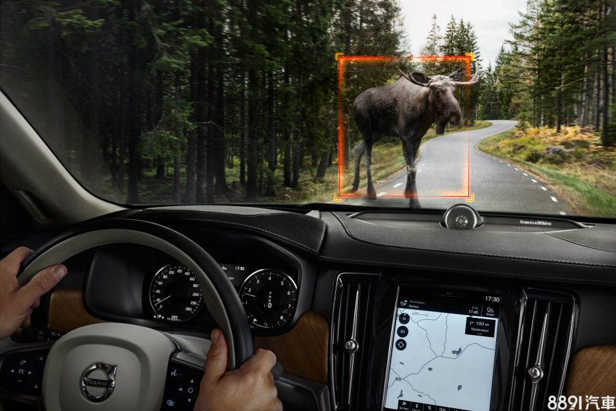 此次加入的大型動物偵測暨完全主動煞停系統，主要還是針對歐洲當地的路況與使用需求。